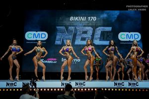 BIKINI 170